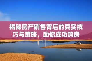 揭秘房产销售背后的真实技巧与策略，助你成功购房