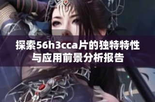 探索56h3cca片的独特特性与应用前景分析报告