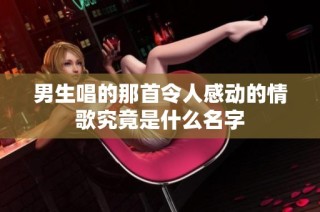 男生唱的那首令人感动的情歌究竟是什么名字