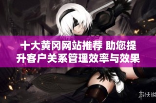 十大黄冈网站推荐 助您提升客户关系管理效率与效果