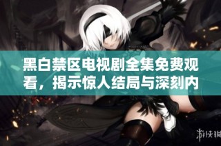 黑白禁区电视剧全集免费观看，揭示惊人结局与深刻内涵