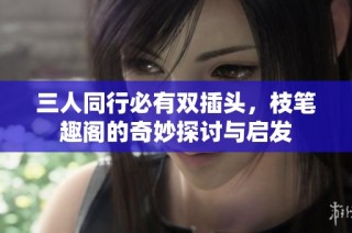 三人同行必有双插头，枝笔趣阁的奇妙探讨与启发