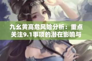 九幺黄高危风险分析：重点关注9.1事项的潜在影响与挑战
