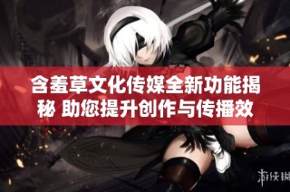 含羞草文化传媒全新功能揭秘 助您提升创作与传播效率