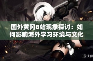 国外黄冈B站现象探讨：如何影响海外学习环境与文化交流