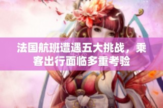 法国航班遭遇五大挑战，乘客出行面临多重考验