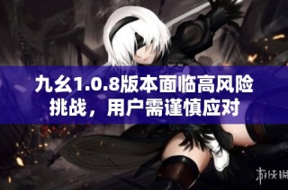 九幺1.0.8版本面临高风险挑战，用户需谨慎应对