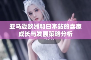 亚马逊欧洲和日本站的卖家成长与发展策略分析