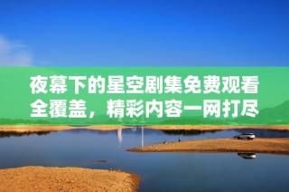夜幕下的星空剧集免费观看全覆盖，精彩内容一网打尽