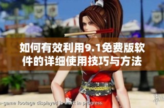 如何有效利用9.1免费版软件的详细使用技巧与方法