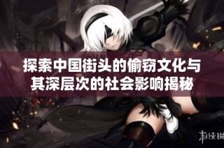 探索中国街头的偷窃文化与其深层次的社会影响揭秘