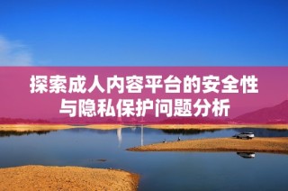 探索成人内容平台的安全性与隐私保护问题分析
