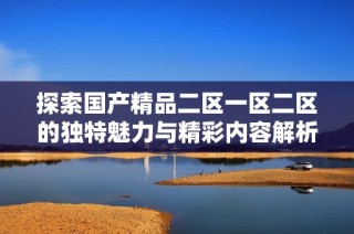 探索国产精品二区一区二区的独特魅力与精彩内容解析