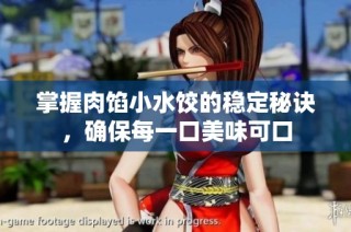 掌握肉馅小水饺的稳定秘诀，确保每一口美味可口