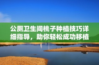 公厕卫生间桃子种植技巧详细指导，助你轻松成功移植桃树