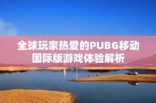 全球玩家热爱的PUBG移动国际版游戏体验解析