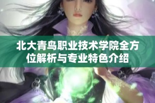 北大青鸟职业技术学院全方位解析与专业特色介绍