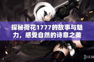 探秘荷花1777的故事与魅力，感受自然的诗意之美