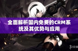 全面解析国内免费的CRM系统及其优势与应用