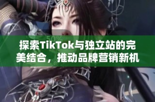 探索TikTok与独立站的完美结合，推动品牌营销新机遇