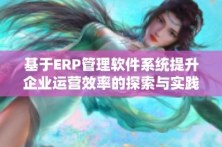 基于ERP管理软件系统提升企业运营效率的探索与实践