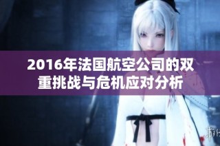 2016年法国航空公司的双重挑战与危机应对分析