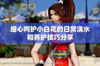 细心呵护小白花的日常浇水和养护技巧分享