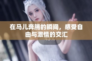 在马儿奔腾的瞬间，感受自由与激情的交汇