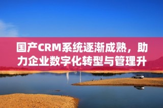 国产CRM系统逐渐成熟，助力企业数字化转型与管理升级