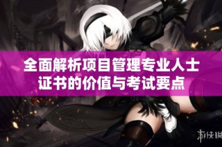 全面解析项目管理专业人士证书的价值与考试要点