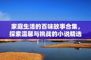 家庭生活的百味故事合集，探索温馨与挑战的小说精选