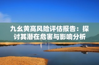 九幺黄高风险评估报告：探讨其潜在危害与影响分析