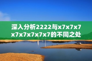 深入分析2222与x7x7x7x7x7x7x7x7的不同之处与应用场景
