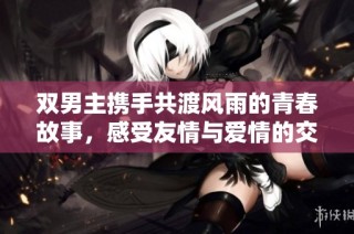 双男主携手共渡风雨的青春故事，感受友情与爱情的交织魅力
