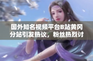 国外知名视频平台B站黄冈分站引发热议，粉丝热烈讨论