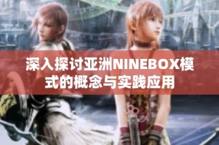 深入探讨亚洲NINEBOX模式的概念与实践应用