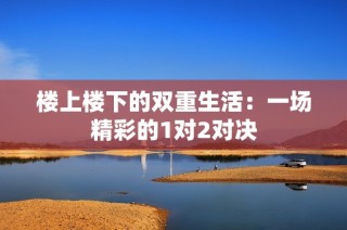 楼上楼下的双重生活：一场精彩的1对2对决