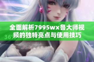全面解析7995wx鲁大师视频的独特亮点与使用技巧