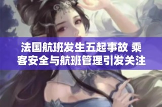 法国航班发生五起事故 乘客安全与航班管理引发关注