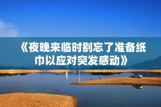 《夜晚来临时别忘了准备纸巾以应对突发感动》