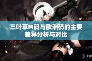三叶草M码与欧洲码的主要差异分析与对比