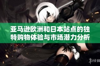 亚马逊欧洲和日本站点的独特购物体验与市场潜力分析