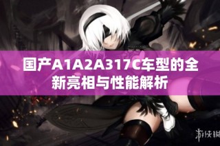 国产A1A2A317C车型的全新亮相与性能解析