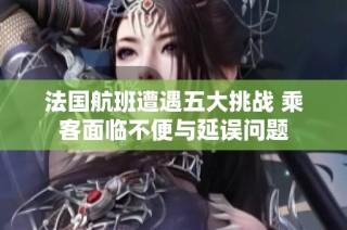 法国航班遭遇五大挑战 乘客面临不便与延误问题