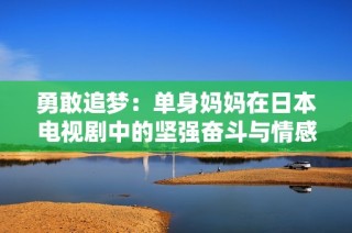 勇敢追梦：单身妈妈在日本电视剧中的坚强奋斗与情感历程