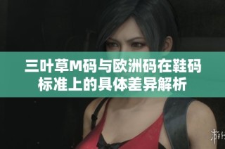 三叶草M码与欧洲码在鞋码标准上的具体差异解析