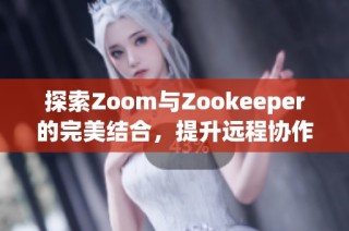 探索Zoom与Zookeeper的完美结合，提升远程协作体验
