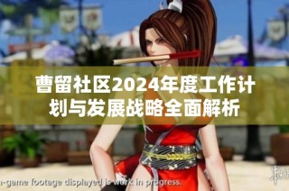 曹留社区2024年度工作计划与发展战略全面解析