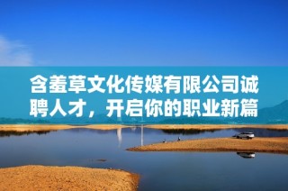 含羞草文化传媒有限公司诚聘人才，开启你的职业新篇章
