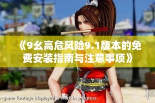 《9幺高危风险9.1版本的免费安装指南与注意事项》